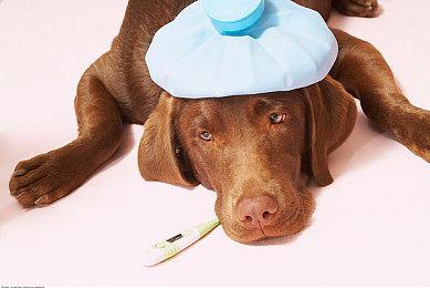 《英灵神殿》“迷雾之地”动画宣传片 新增魔法系统